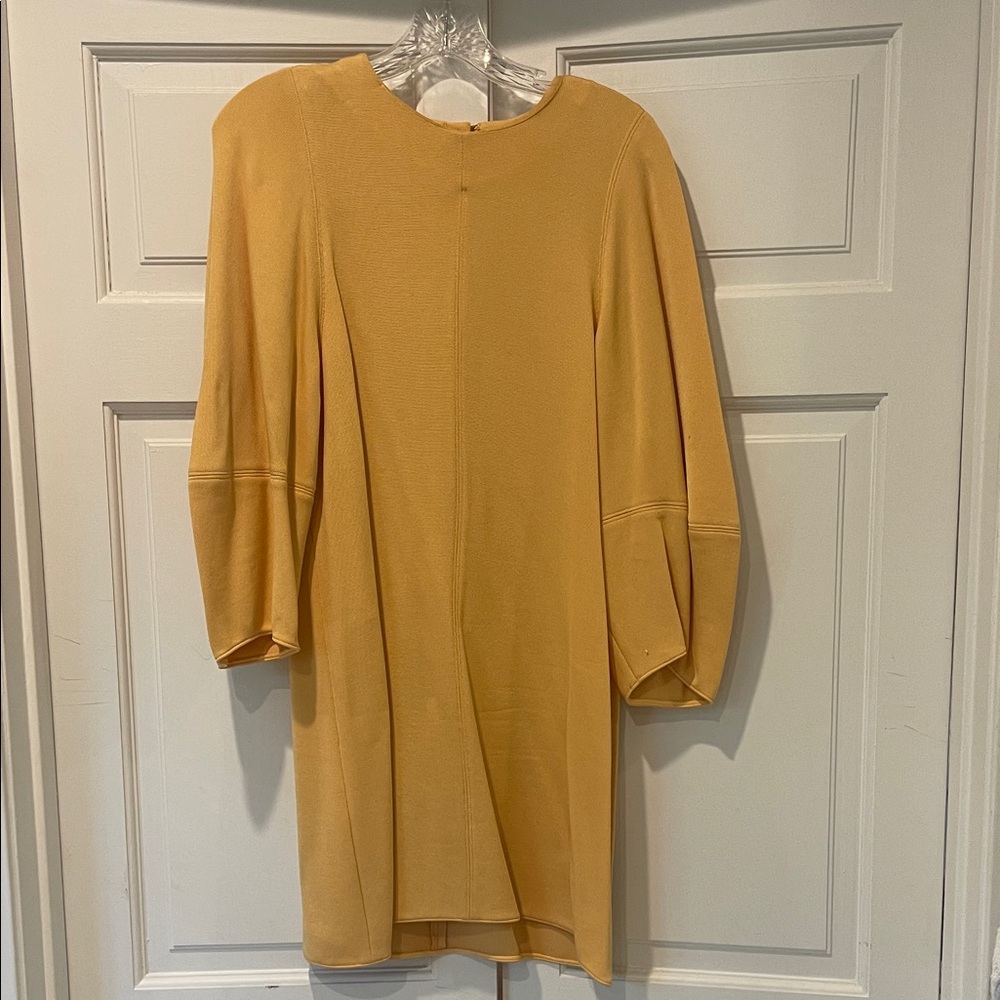 TIBI oversized crewneck mini dress